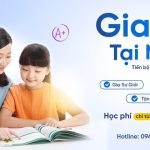 Gia sư Thạch Thất